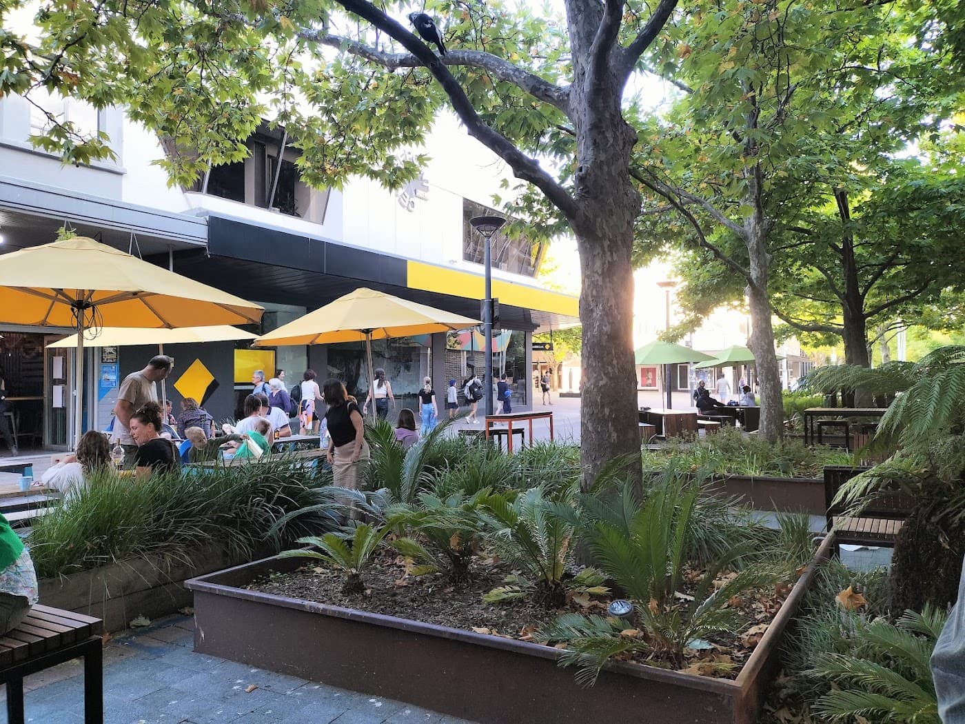 Beach Burrito Co. Canberra