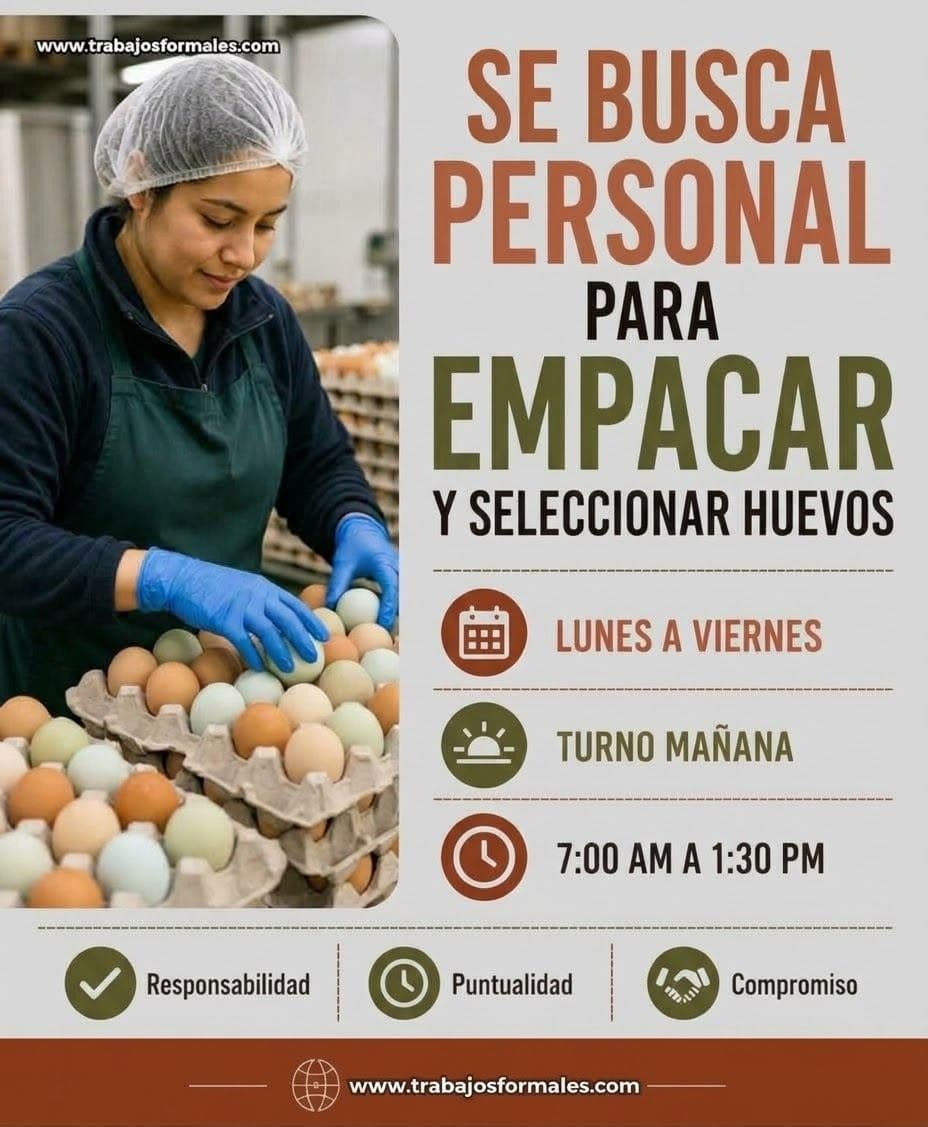 Urgent Workers Needed for Egg Packing