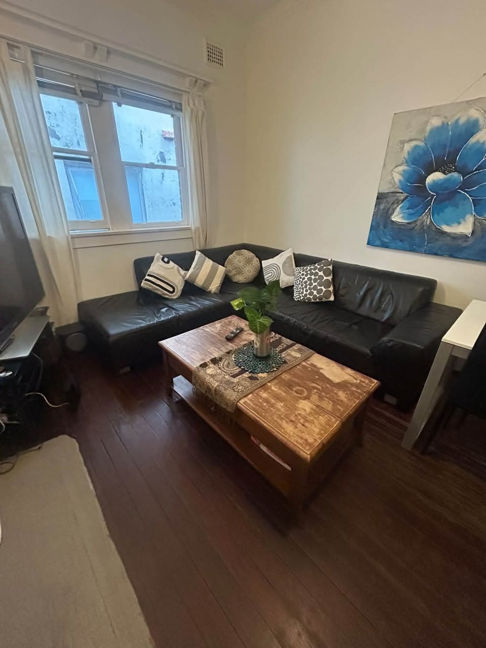 Apartment for Rent on Bondi Rd, Available Now