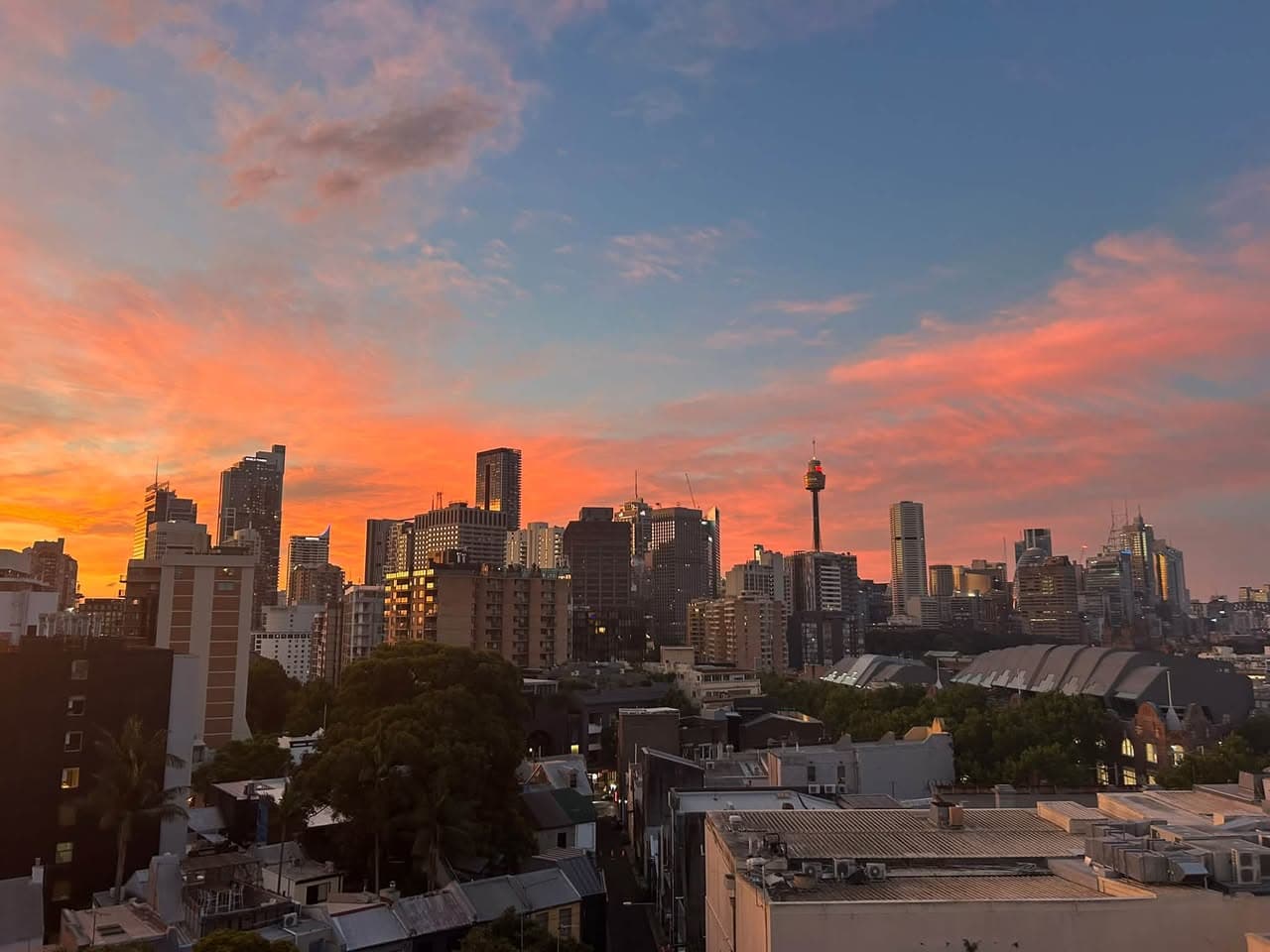 1 Bedroom Apartment in Surry Hills/Darlinghurst