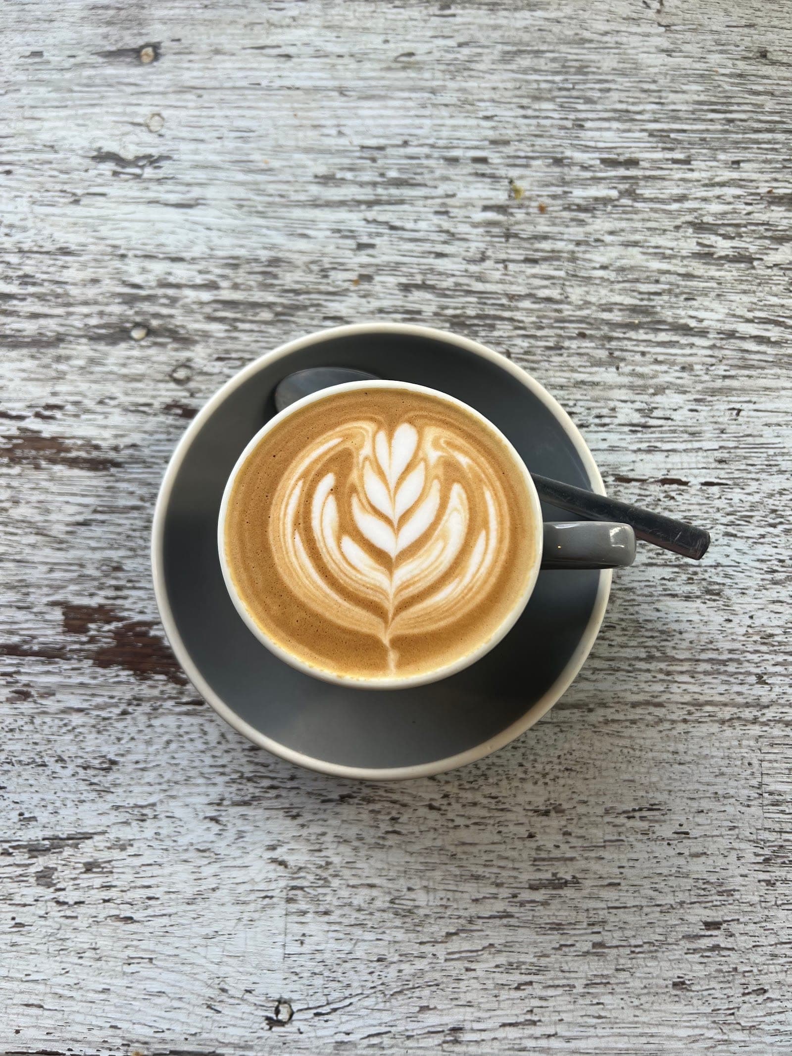 Coffee Head Co. (6)