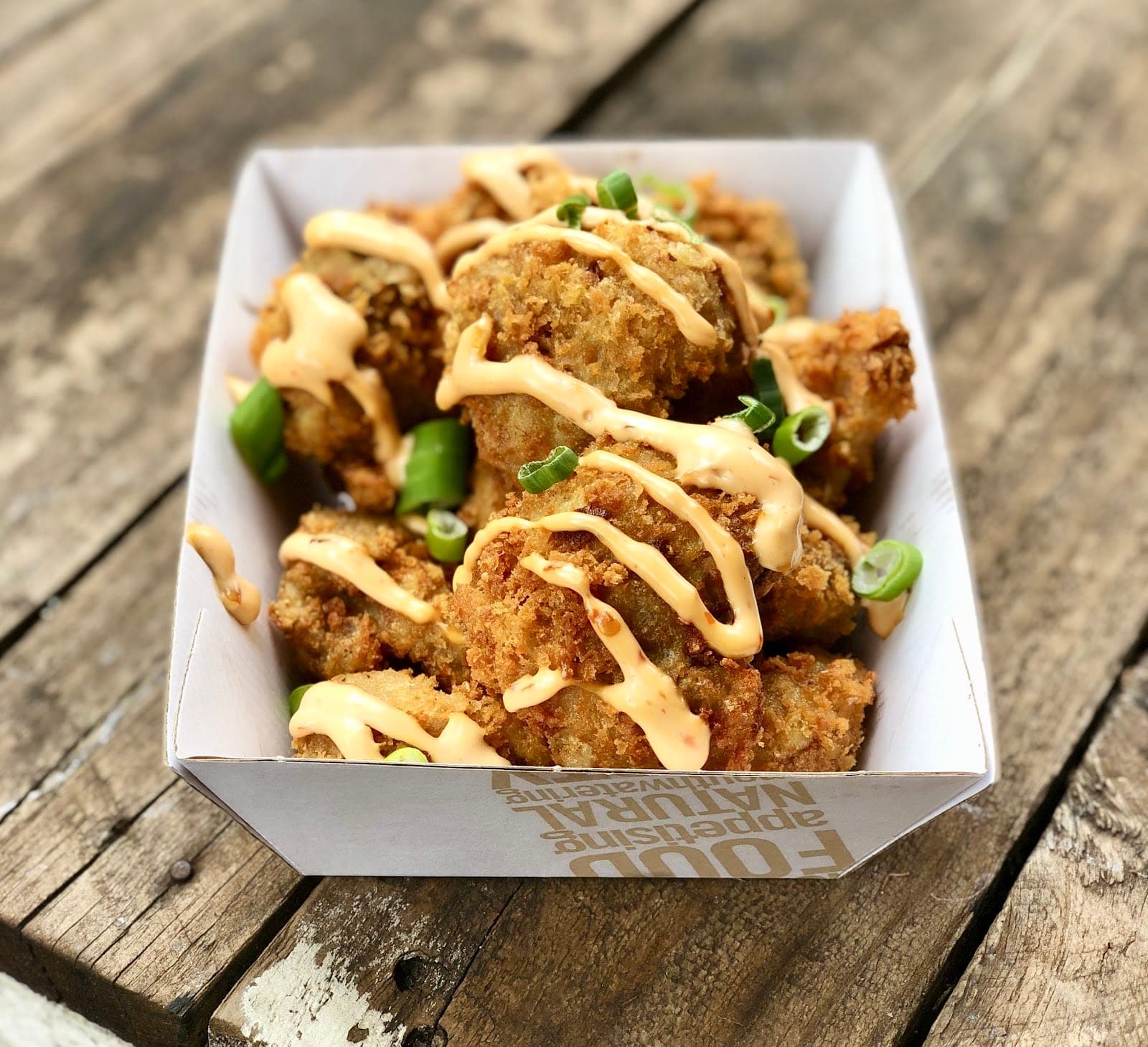 Nagev 100% Plant Based Food Catering and Events (12)