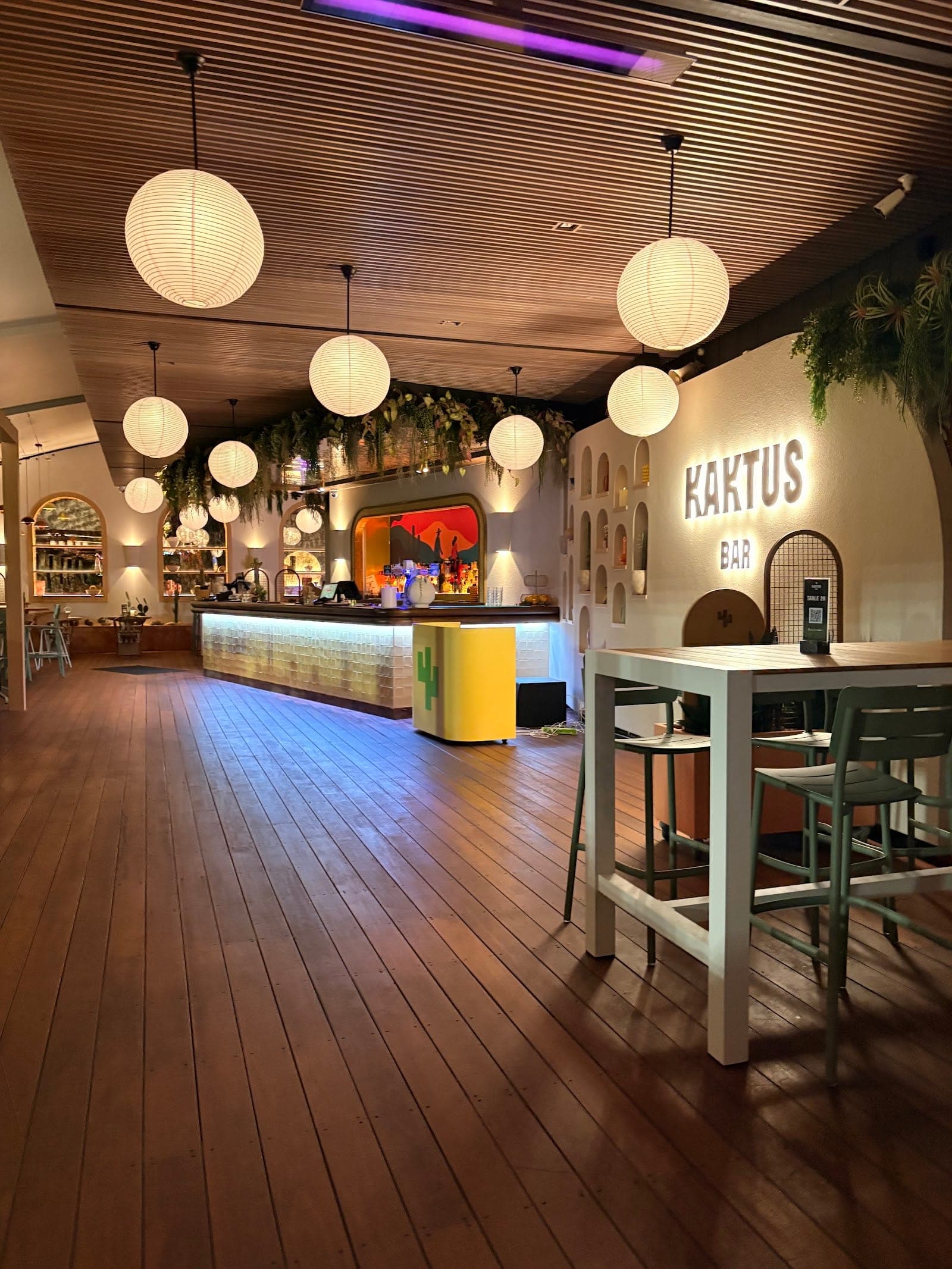 Kaktus Bar (9)