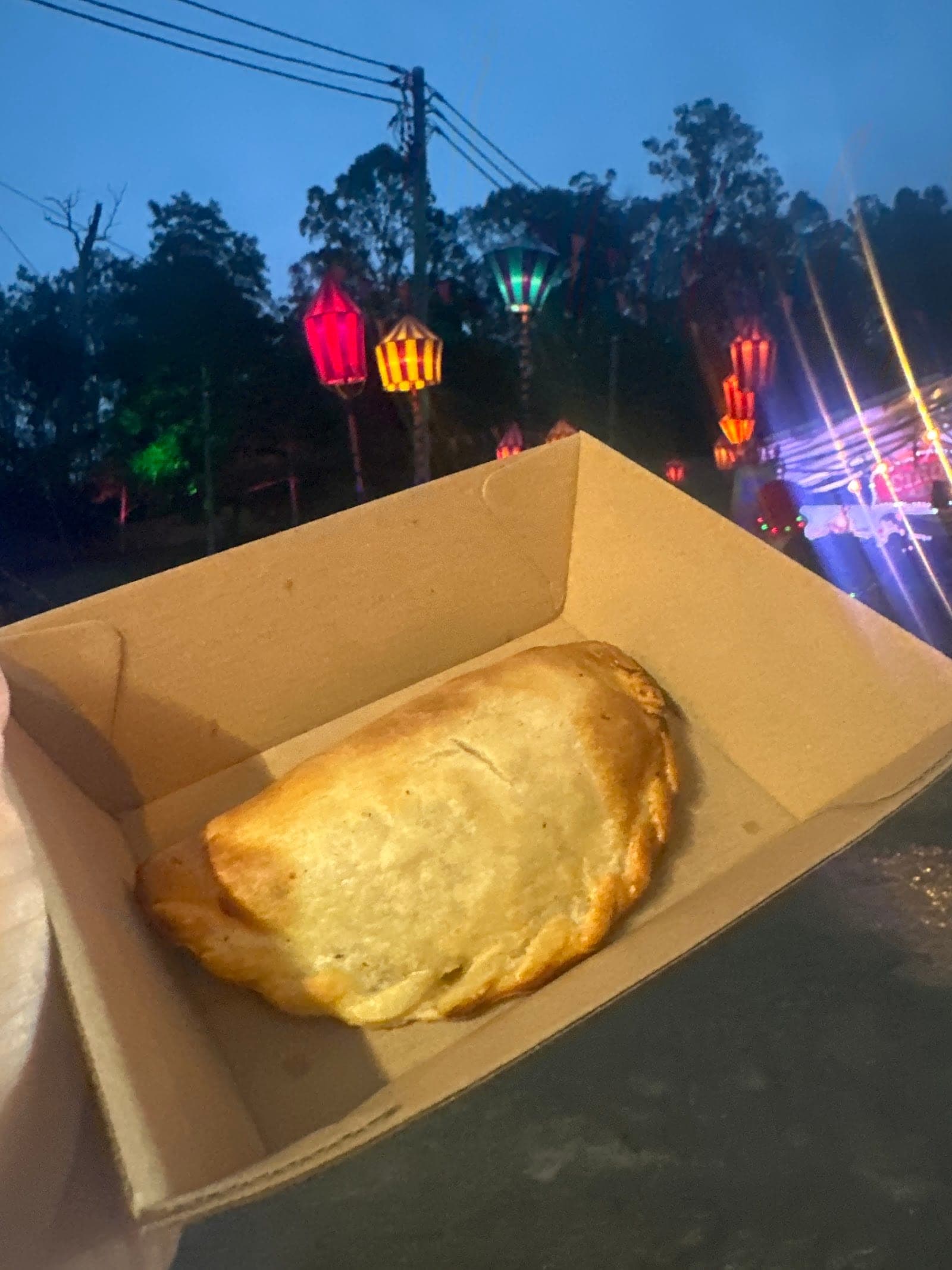 Pipi Cucu Empanadas (12)
