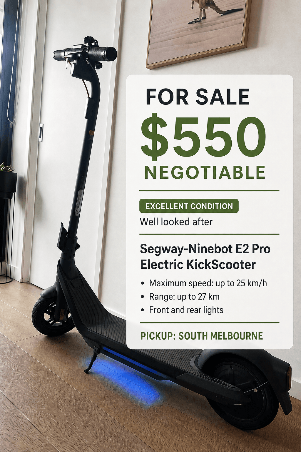 Segway-Ninebot E2 Pro Electric KickScooter