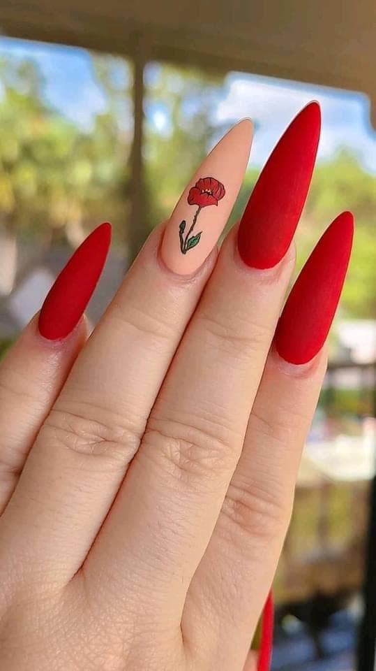 Senorita Nail Salon (4)