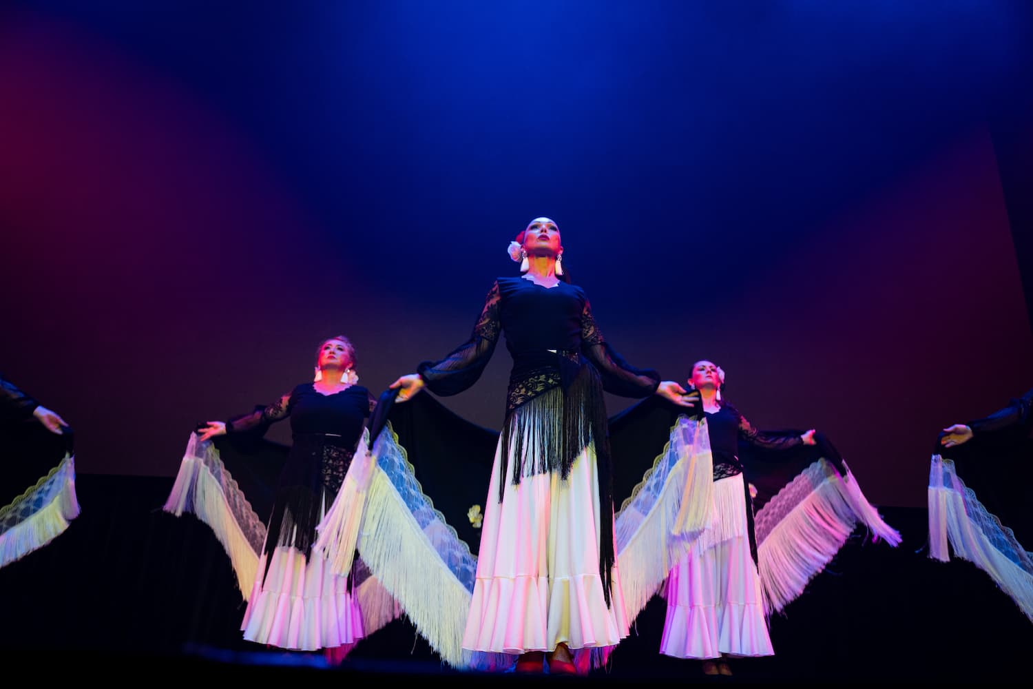 Danza Viva (2)