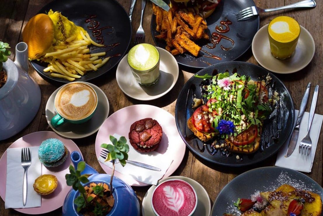 Nagev 100% Plant Based Food Catering and Events