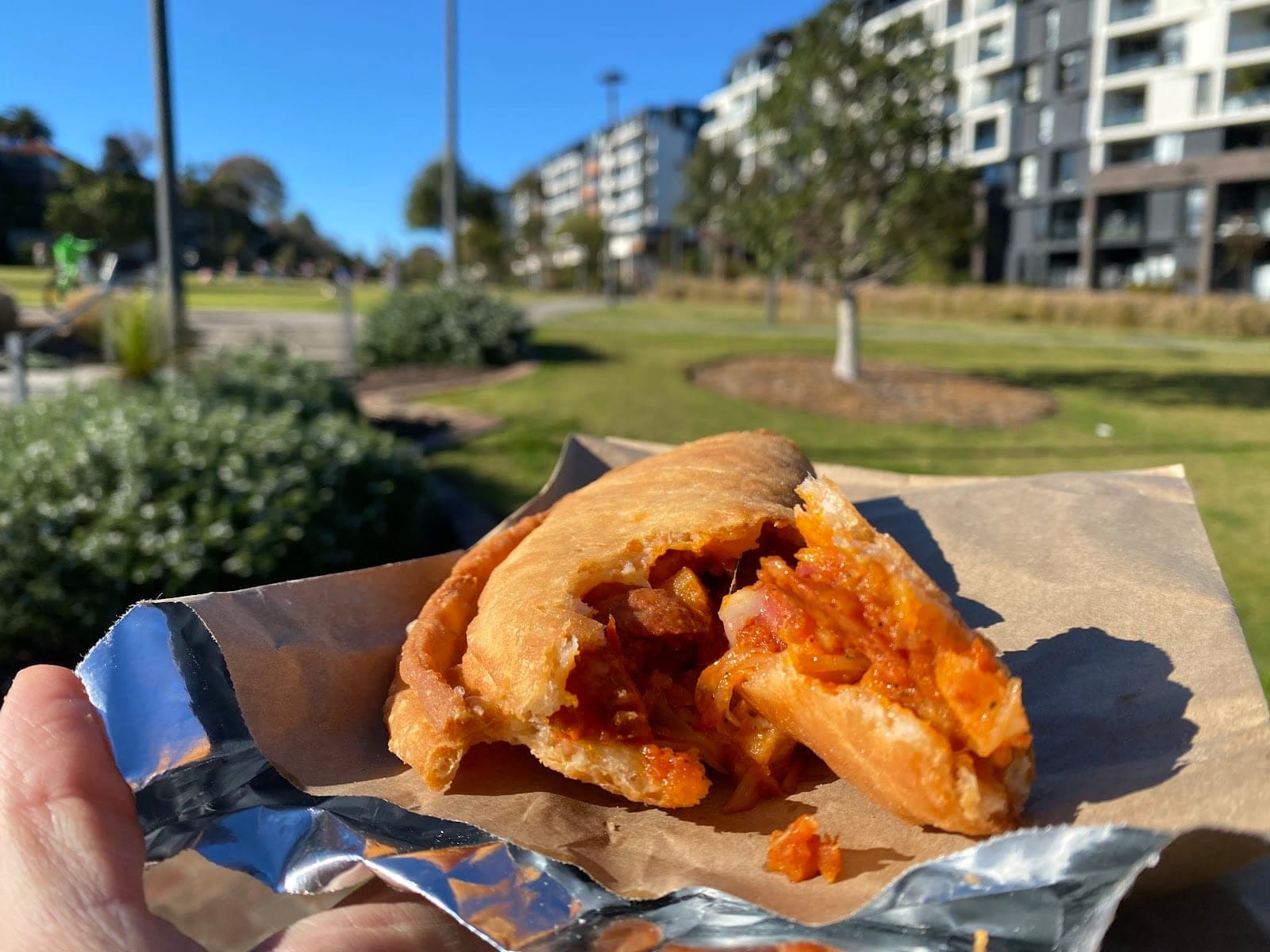 Modern Empanadas (4)