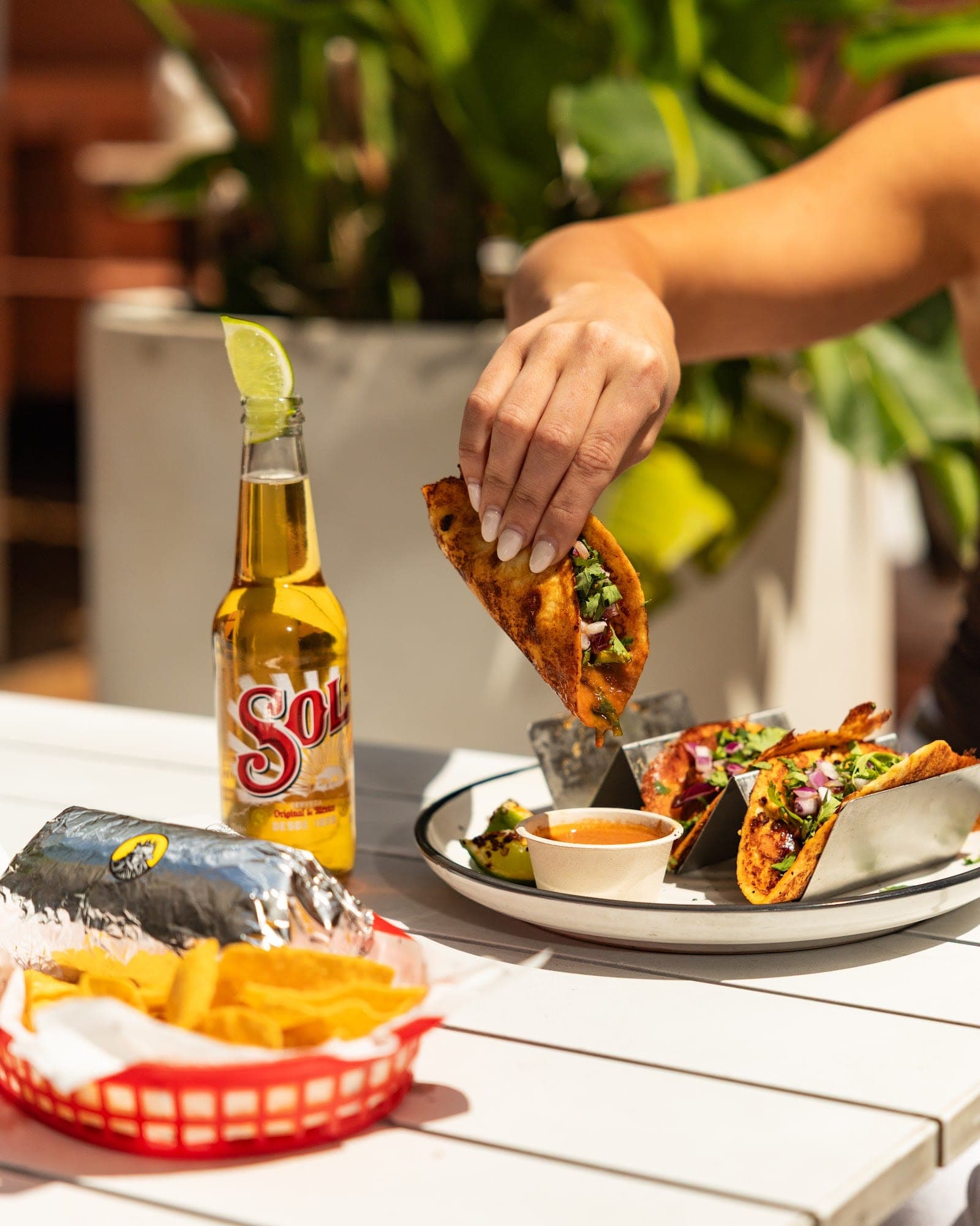 Beach Burrito Co. Coogee (6)