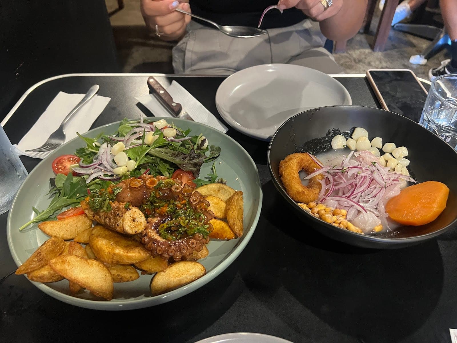 Moche | Peruvian Fusion Cuisine (6)