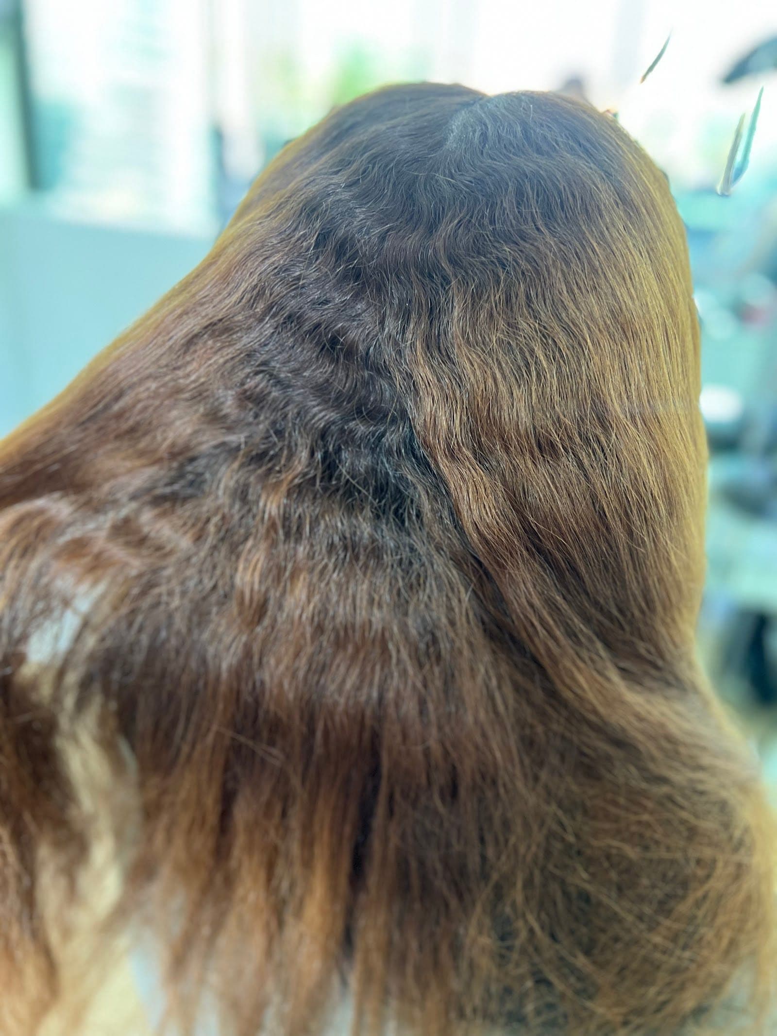 Dani Bedoya Hairbar (5)