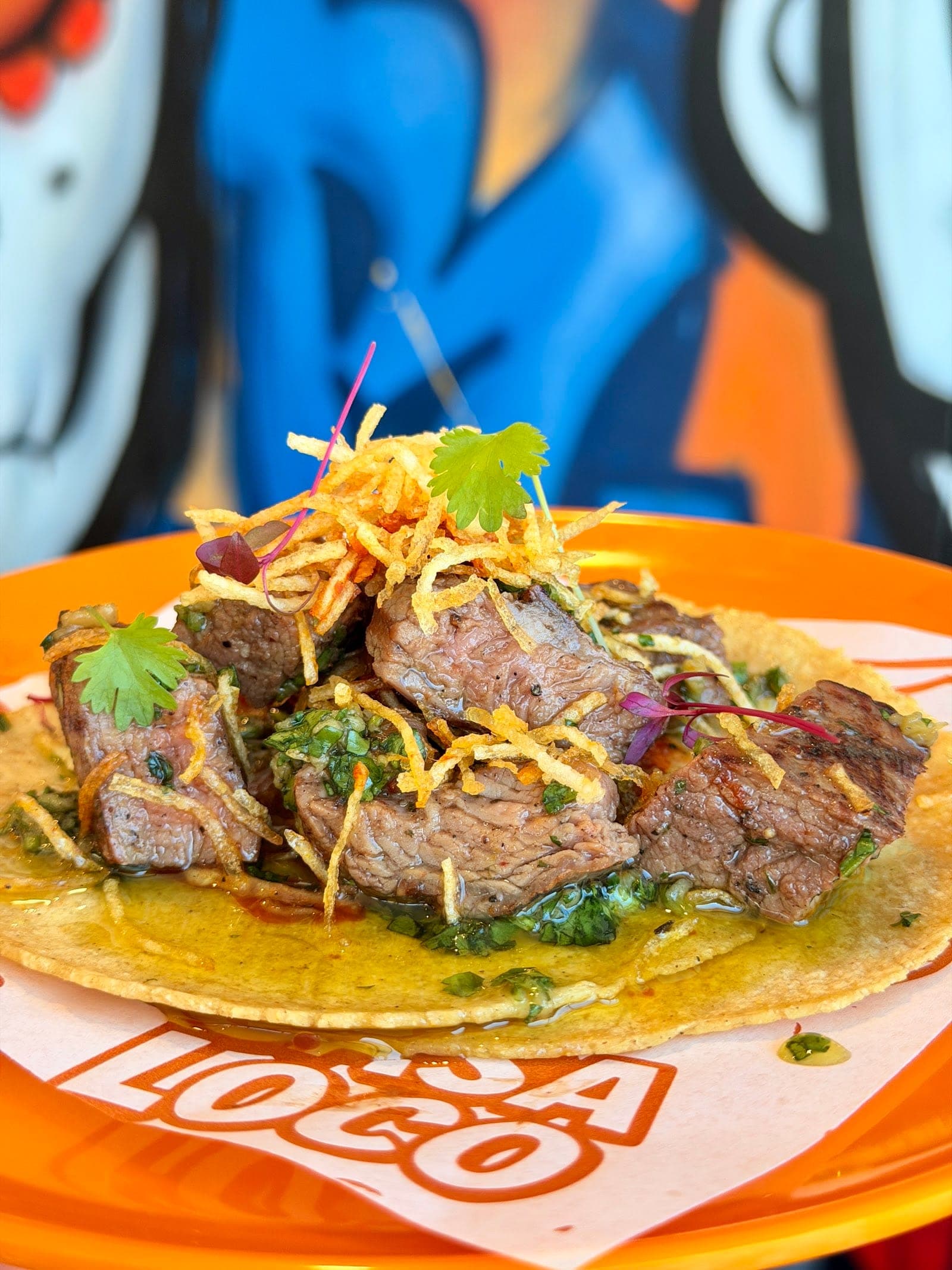Casa loco (9)