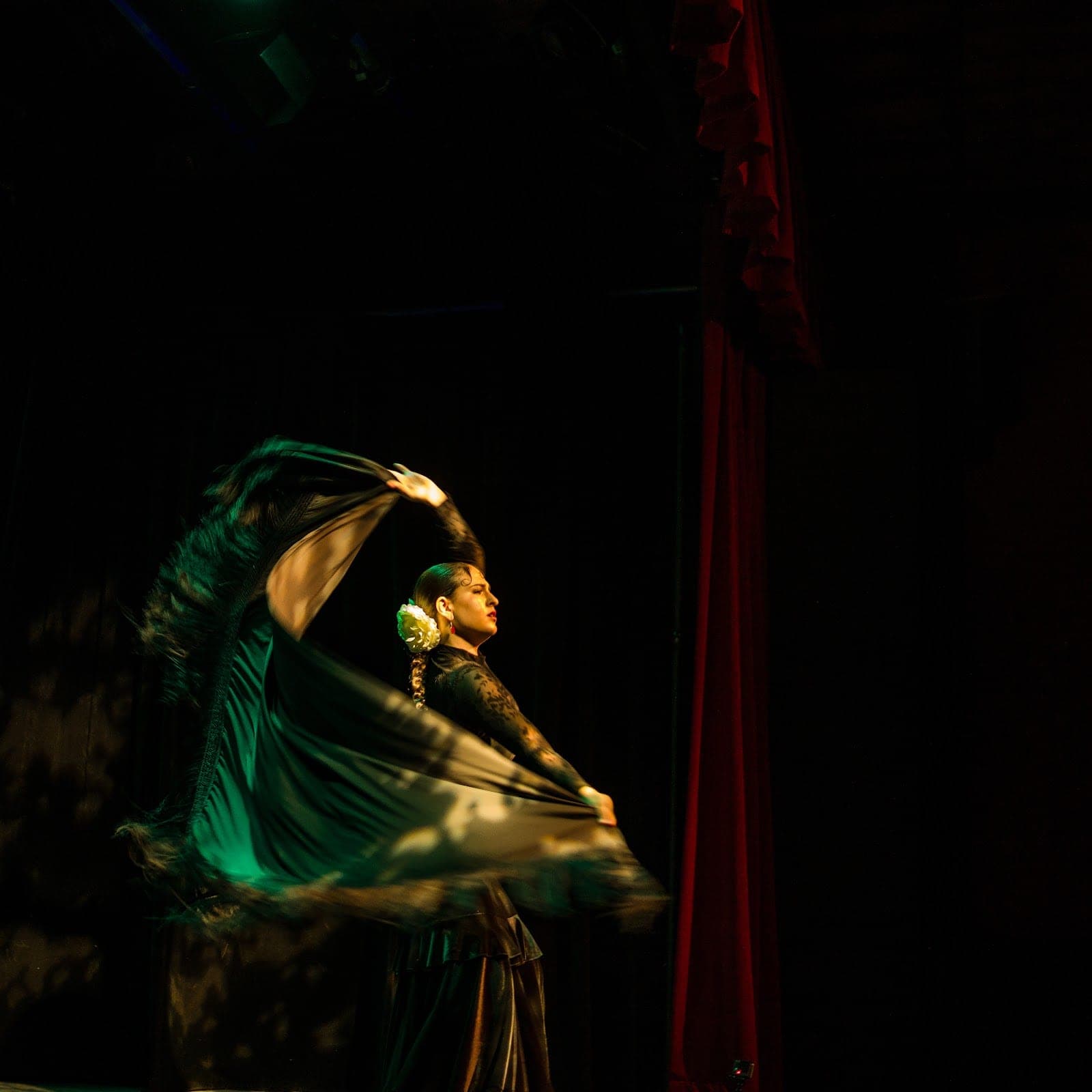 Danza Viva (4)