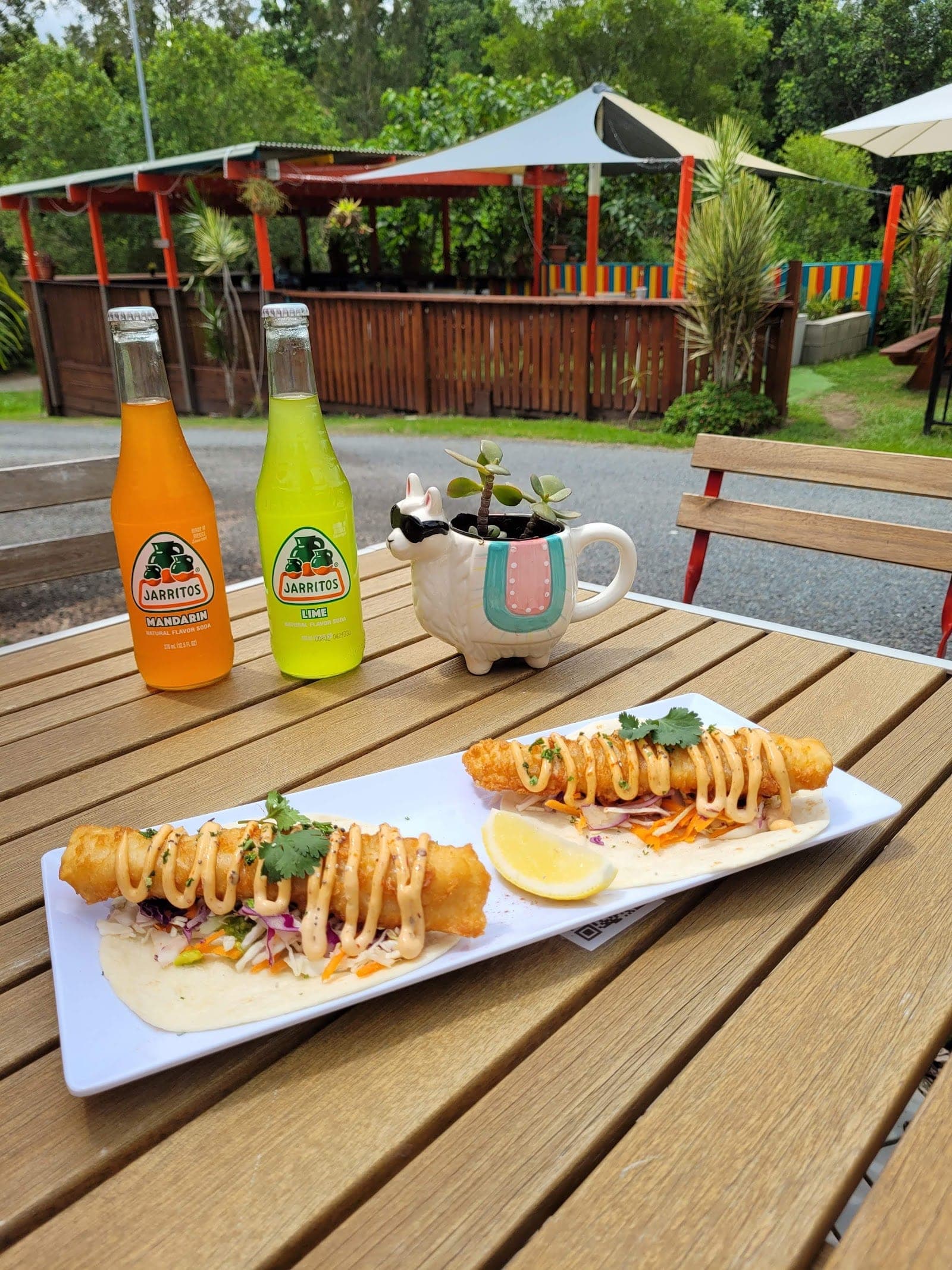 Latin Shack Cafe (6)