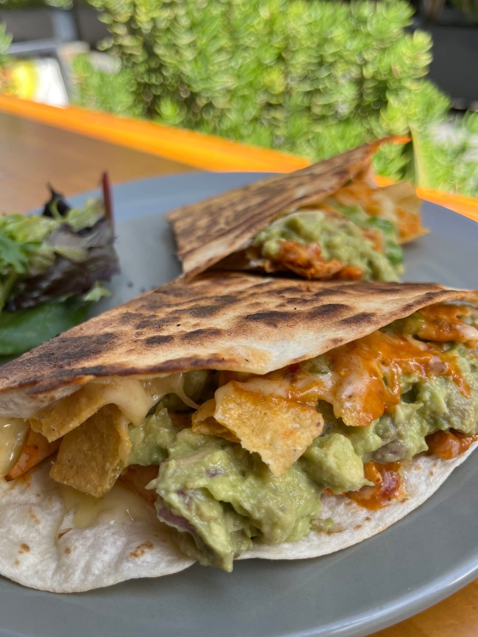 Pollito Chipotle Grill (4)